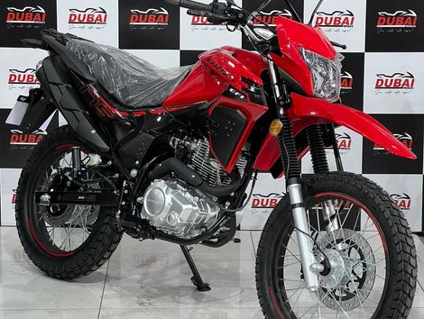 SHINERAY SHI 175 S EFI