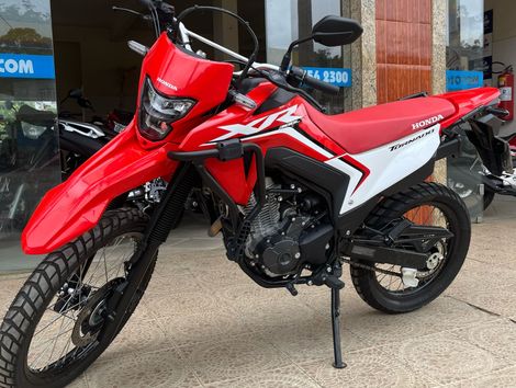 HONDA XR 300L TORNADO FLEX