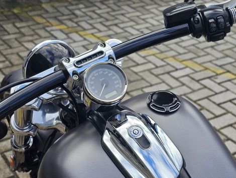 Harley BREAKOUT