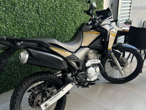 HONDA XRE 300 ADVENTURE FLEX