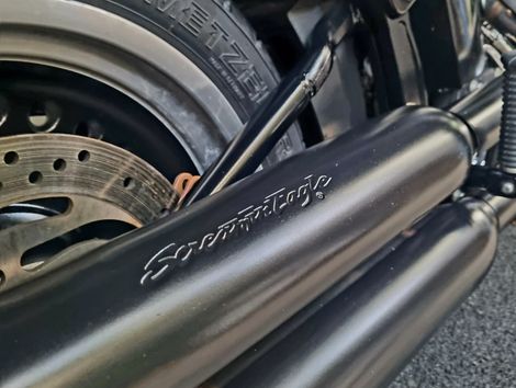 Harley FAT BOY LOW/ SPECIAL FLSTFB
