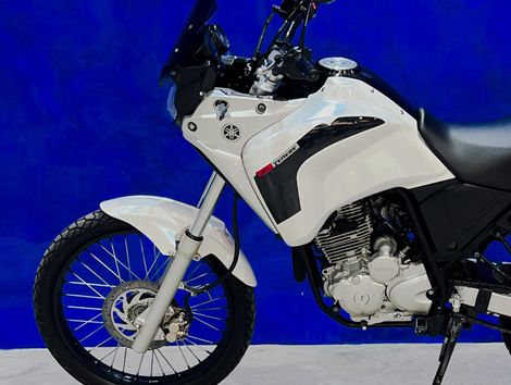 YAMAHA XTZ 250 TENERE/TENERE BLUEFLEX