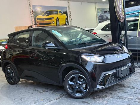 BYD Dolphin Mini (Elétrico)
