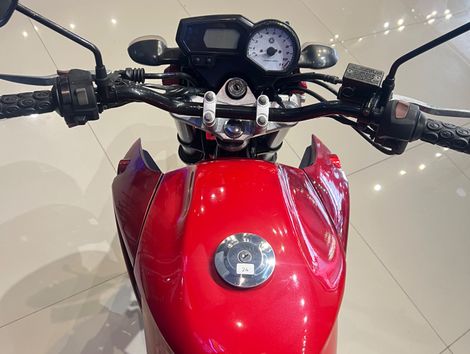 YAMAHA YS 250 FAZER/ FAZER L. EDITION /BLUEFLEX