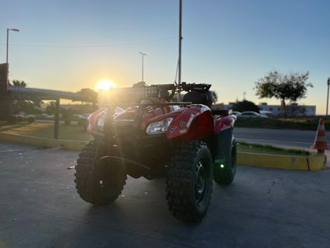 HONDA TRX 420 FOURTRAX   TM 4x2 QUADRICICLO