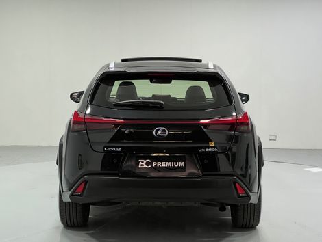 Lexus UX-250h Luxury 2.0 16V Aut.(Hybrid)