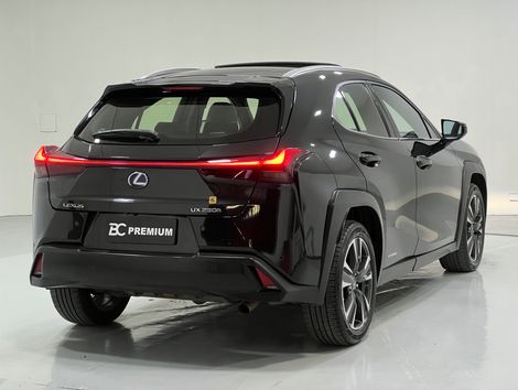 Lexus UX-250h Luxury 2.0 16V Aut.(Hybrid)