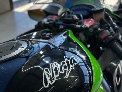 KAWASAKI NINJA ZX-10/ ZX-10R 1000cc/30TH Aniv.