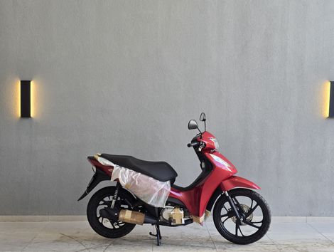 HONDA BIZ 125 EX/ 125 EX FLEX