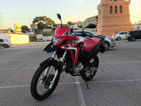 HONDA XRE 300 RALLY FLEX