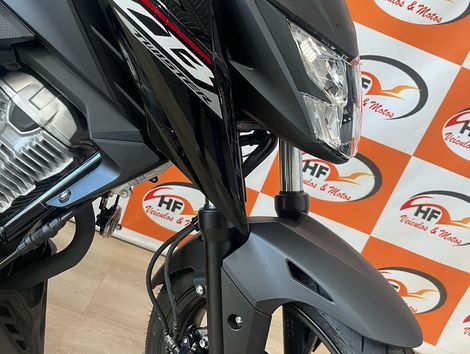 HONDA CB 300F Twister Flex