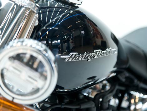 Harley SOFTAIL DELUXE FLDE