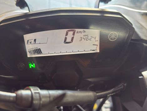 YAMAHA XTZ 250 TENERE/TENERE BLUEFLEX