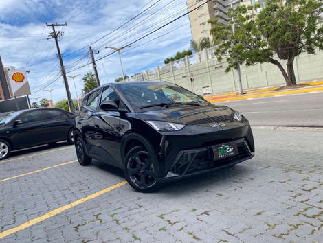 BYD Dolphin Mini (Elétrico)