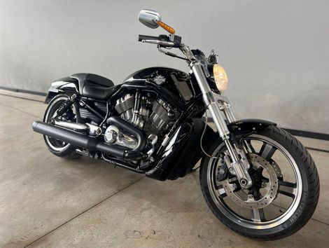 Harley Davidson 1250cc MUSCLE VRSCF 