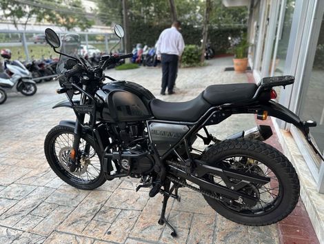 REGAL RAPTOR HIMALAYAN