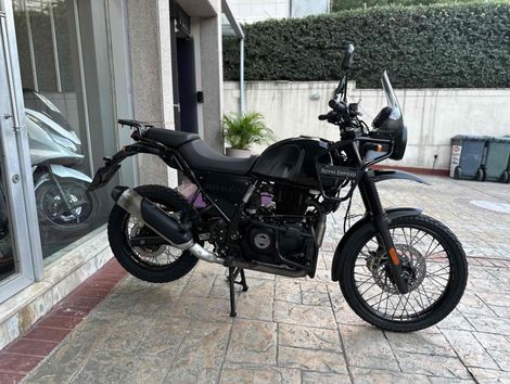 REGAL RAPTOR HIMALAYAN