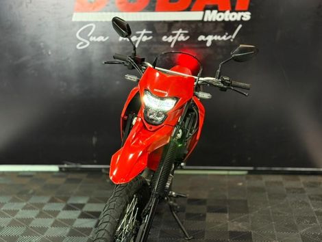 HONDA XR 300L TORNADO FLEX
