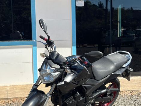 YAMAHA YS 250 FAZER/ FAZER L. EDITION /BLUEFLEX