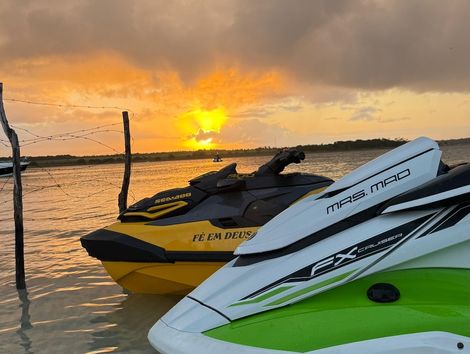 FX CRUISER SVHO WaveRunner