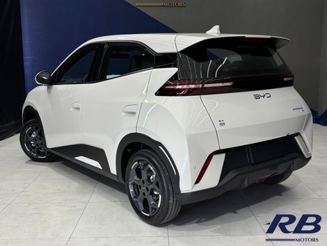 BYD Dolphin Mini (Elétrico)