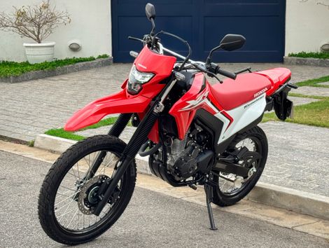 HONDA XR 300L TORNADO FLEX