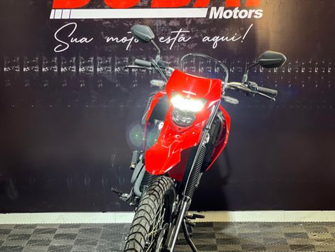 HONDA XR 300L TORNADO FLEX