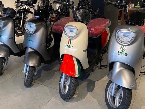 TREE MOTORINO 800W