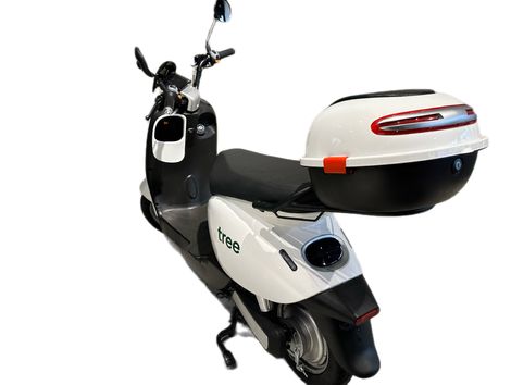 TREE MOTORINO 800W