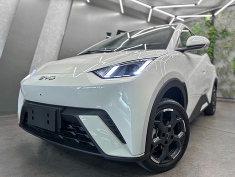 BYD Dolphin Mini (Elétrico)