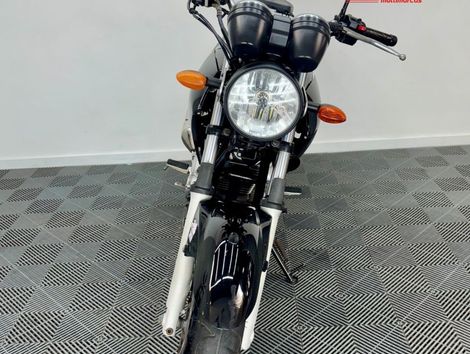 YAMAHA YS 250 FAZER/ FAZER L. EDITION /BLUEFLEX