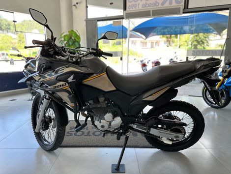 HONDA XRE 300 ADVENTURE FLEX