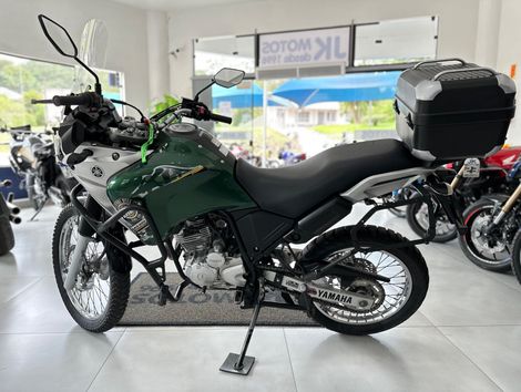YAMAHA XTZ 250 TENERE/TENERE BLUEFLEX