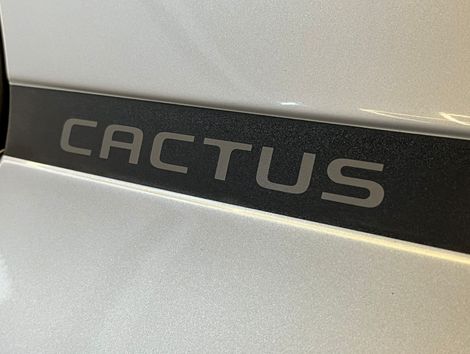 Citroën C4 CACTUS FEEL 1.6 16V Flex Aut.