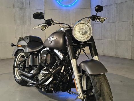 Harley FAT BOY LOW/ SPECIAL FLSTFB