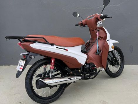 SHINERAY PHOENIX CARBURADA