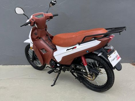 SHINERAY PHOENIX CARBURADA