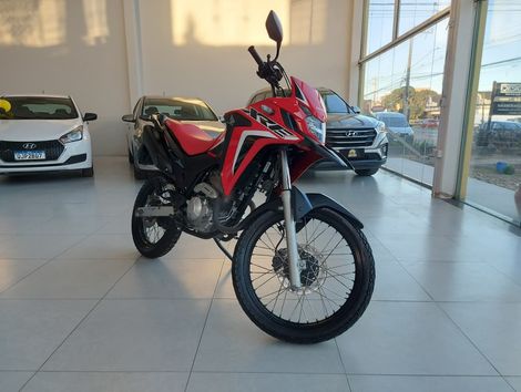 HONDA XRE 300 RALLY FLEX