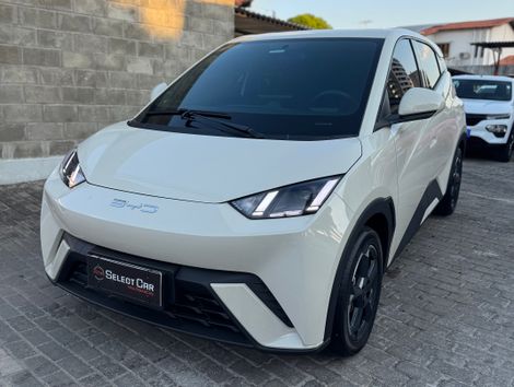 BYD Dolphin Mini (Elétrico)