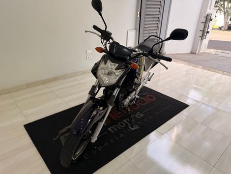 YAMAHA YS 250 FAZER/ FAZER L. EDITION /BLUEFLEX