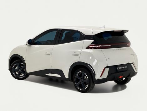 BYD Dolphin Mini (Elétrico)
