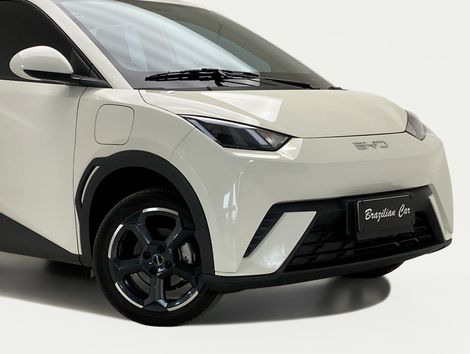 BYD Dolphin Mini (Elétrico)