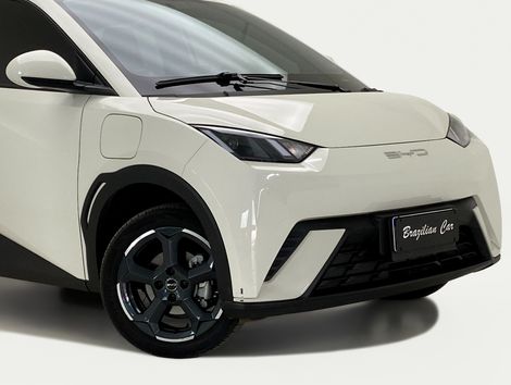 BYD Dolphin Mini (Elétrico)