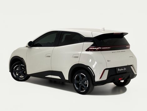 BYD Dolphin Mini (Elétrico)