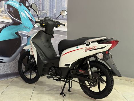 SHINERAY Branco - 2026