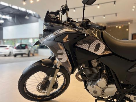 HONDA XRE 300/ 300 ABS/ FLEX