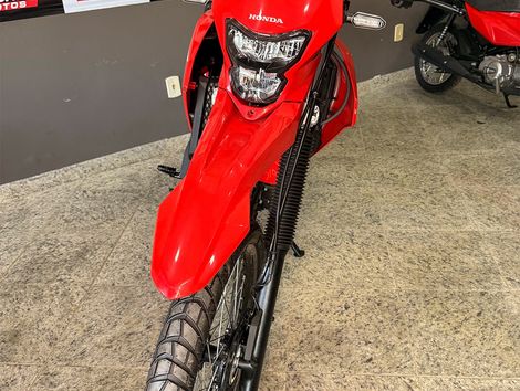 HONDA XR 300L TORNADO FLEX