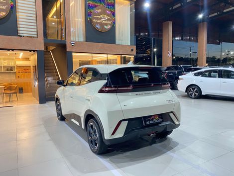 BYD Dolphin Mini (Elétrico)