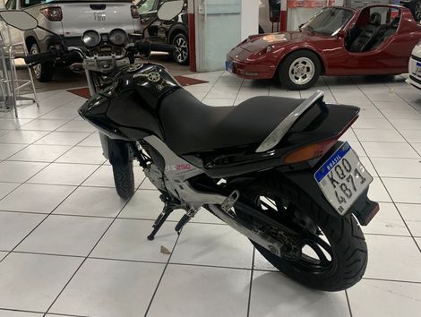 YAMAHA YS 250 FAZER/ FAZER L. EDITION /BLUEFLEX
