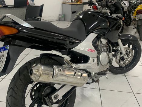 YAMAHA YS 250 FAZER/ FAZER L. EDITION /BLUEFLEX
